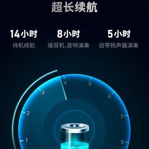 圣锐8000电吹管